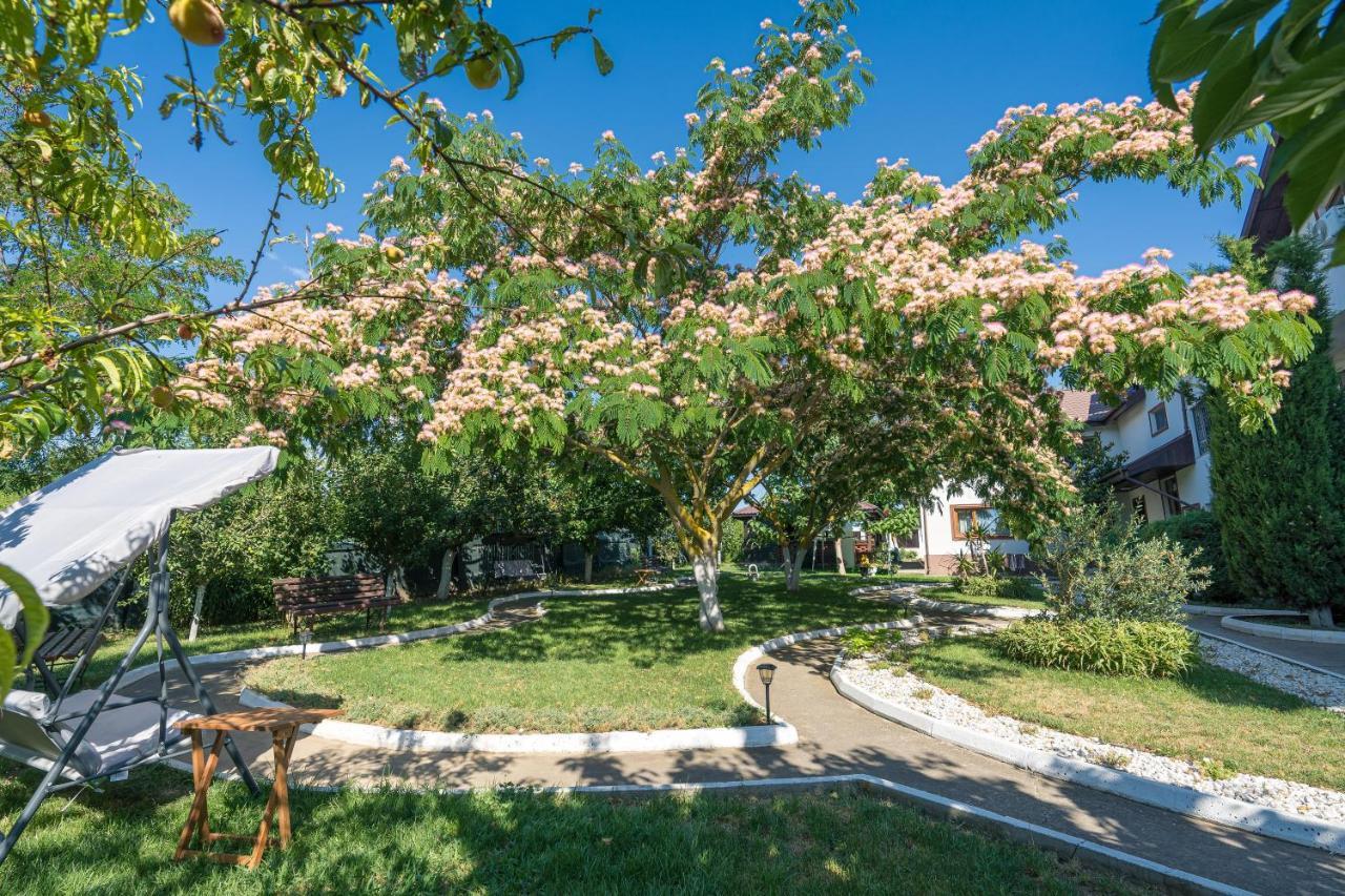 Vila Cataleya Vénus Extérieur photo